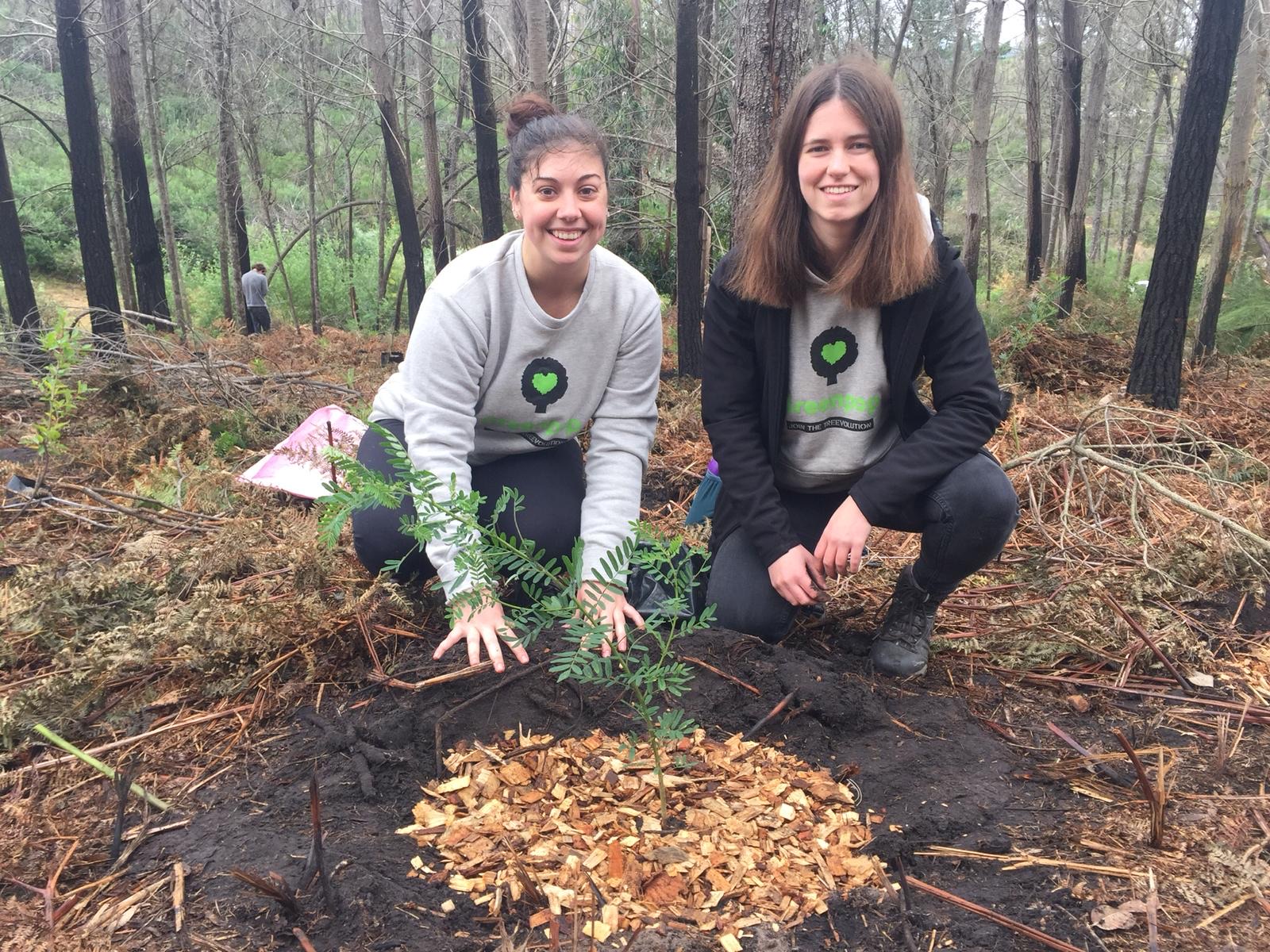 student planting tree