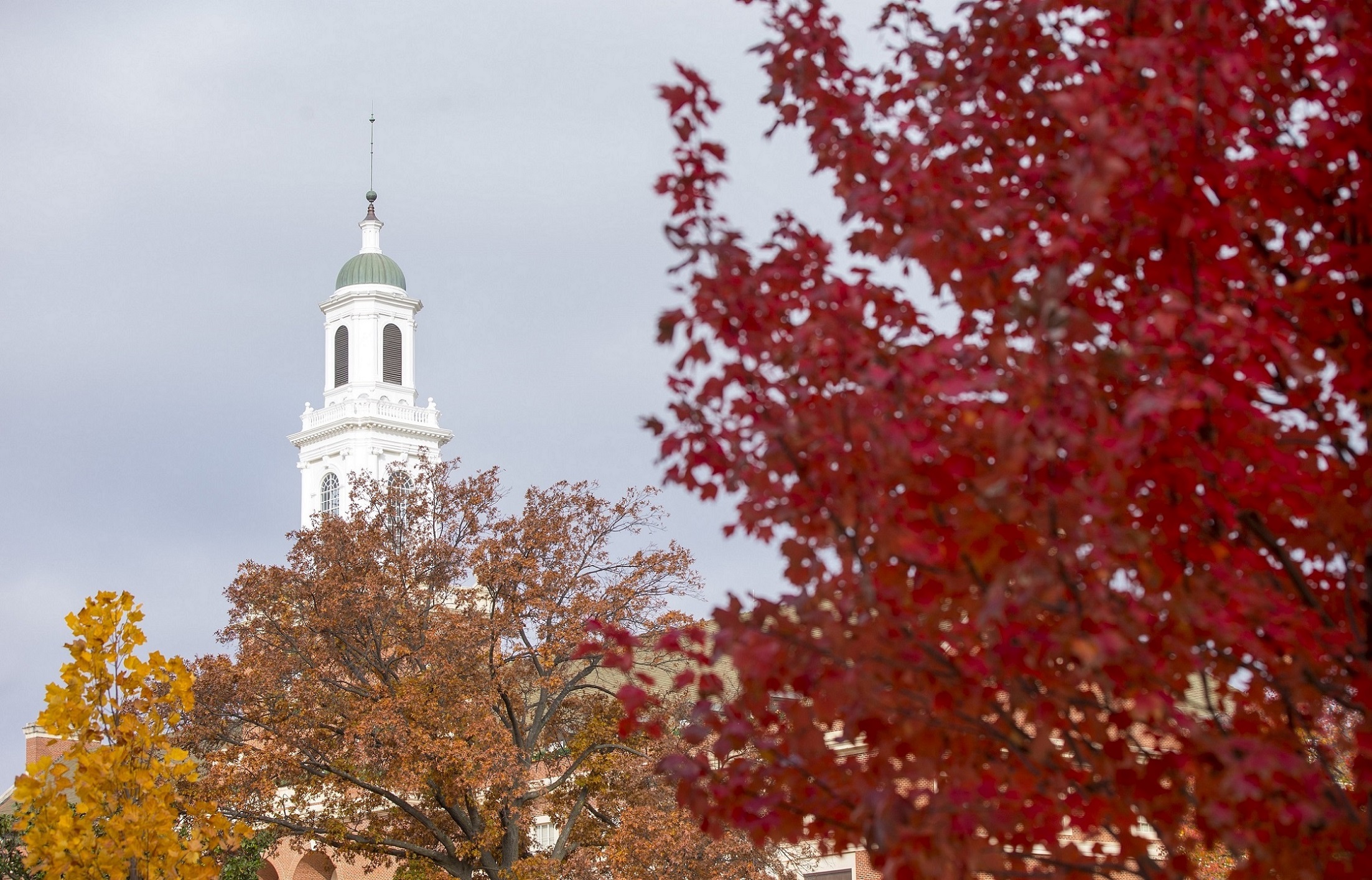 campus campus