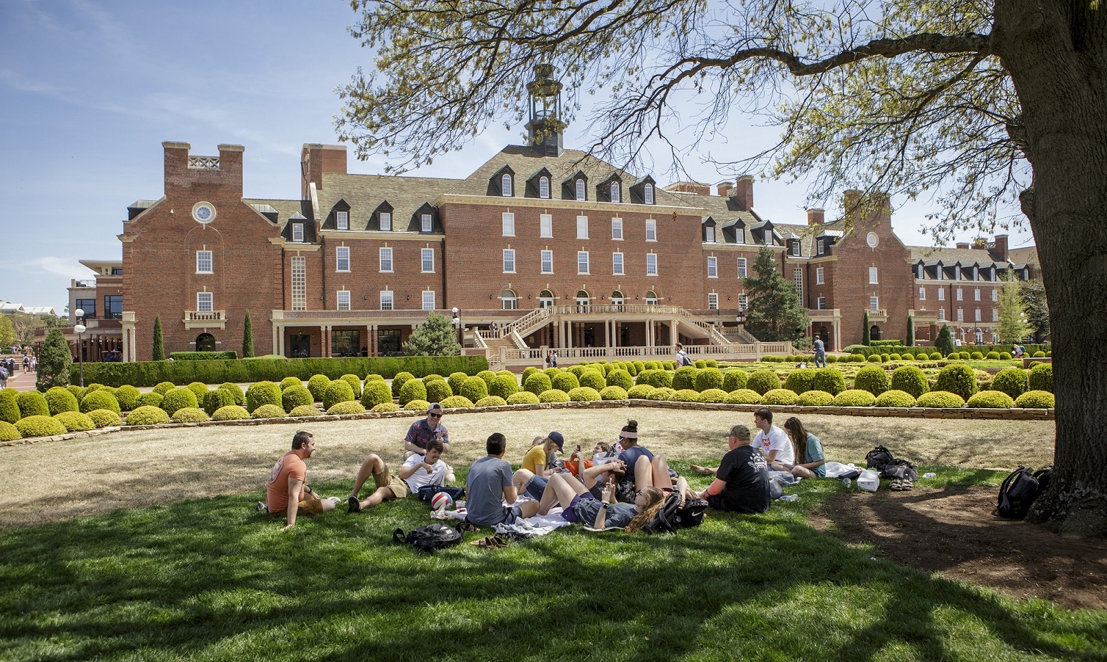 students-studying-on-library-lawn.jpg students studying outside